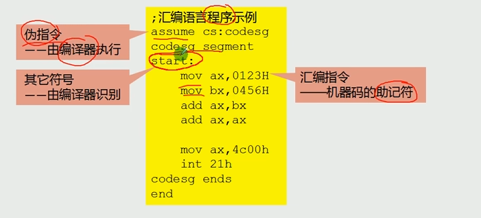 汇编语言的组成